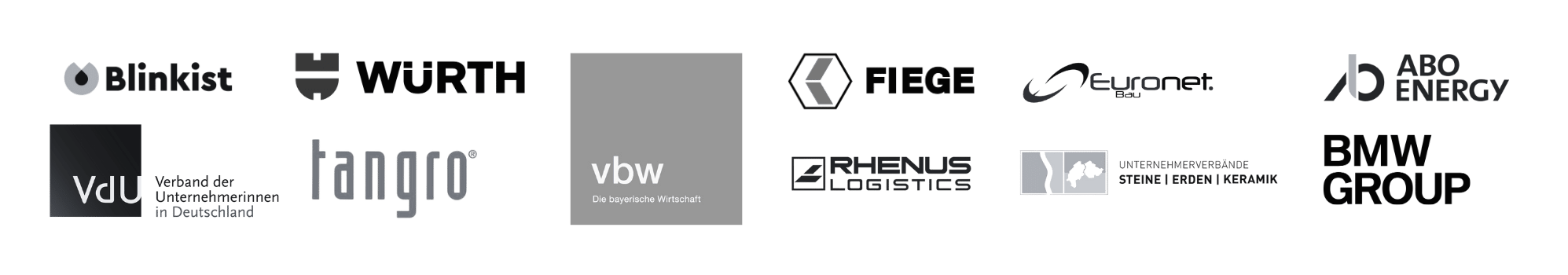 BMW Group, Bertelsmann, Deutsche Telekom, PricewaterhouseCoopers and other clients